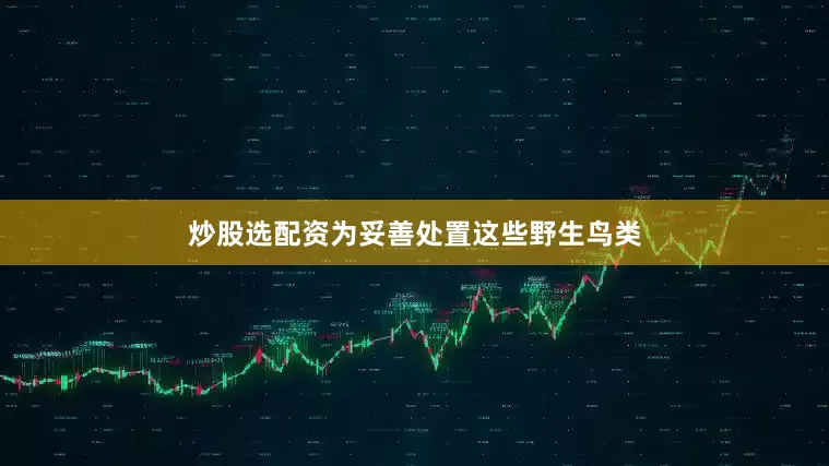 炒股选配资为妥善处置这些野生鸟类