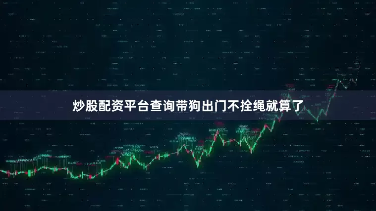 炒股配资平台查询带狗出门不拴绳就算了