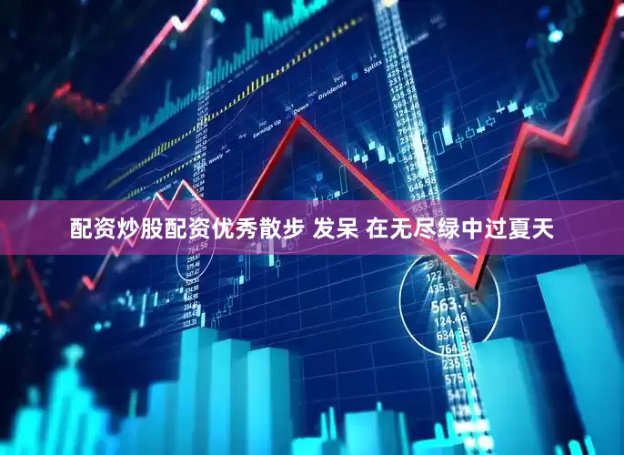 配资炒股配资优秀散步 发呆 在无尽绿中过夏天